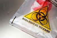blood borne pathogen safety meeting topic